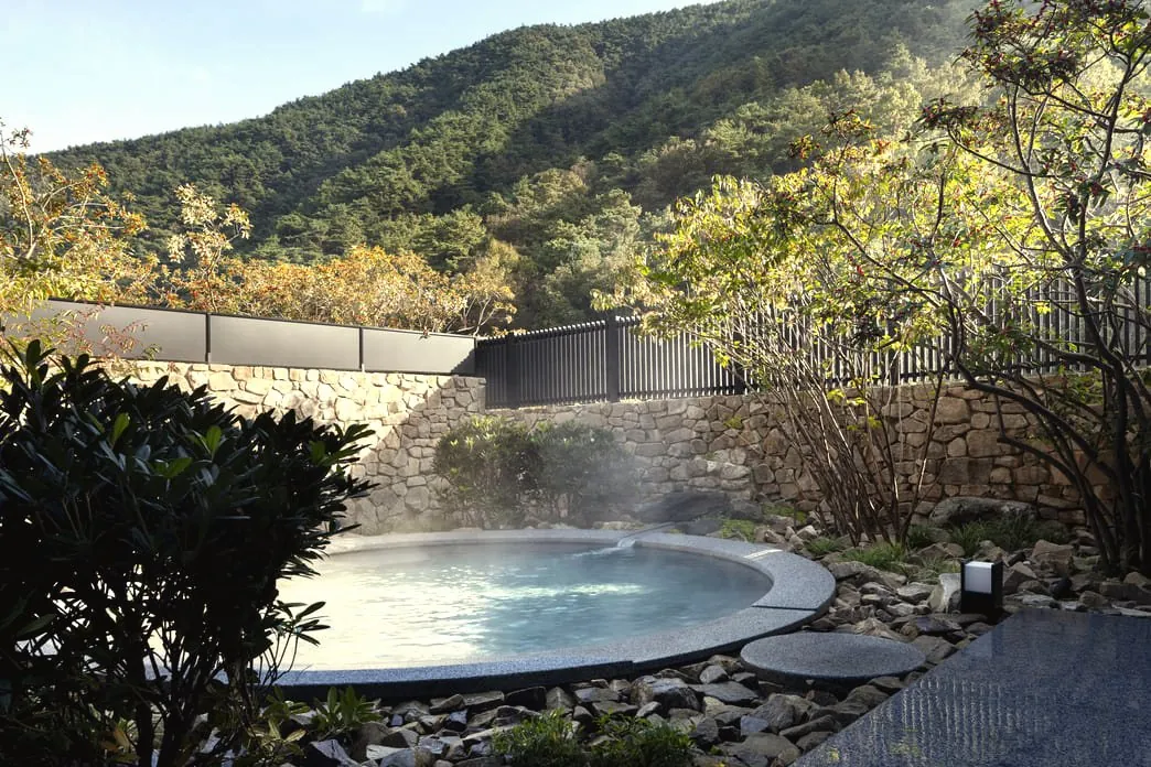 An outdoor hot spring pool framed by trees and mountains