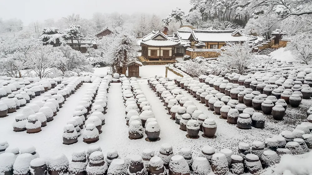 Rows of earthenware sauce jars under snow at a historic house in Nonsan
