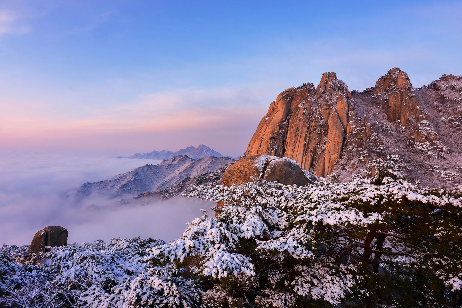 Snow covered granite peaks glowing pink above a sea of cloud at dawn
